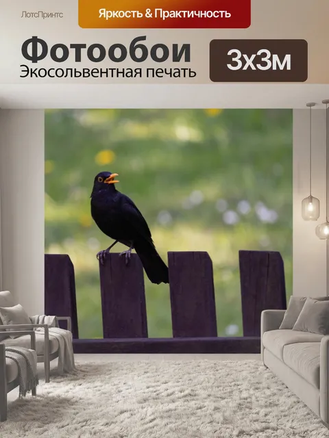 Фотообои Птица