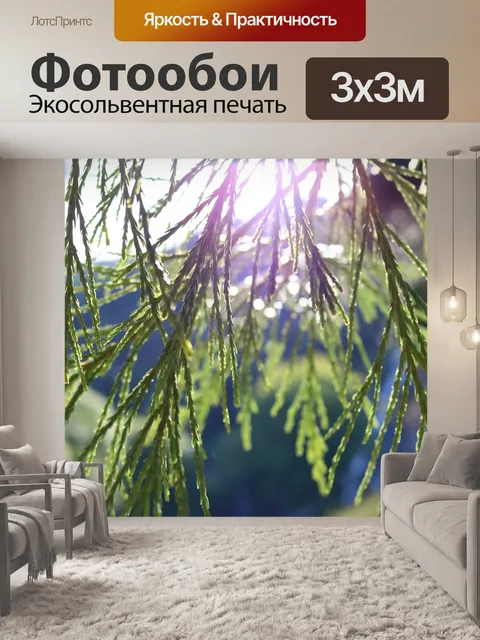 Фотообои Свет