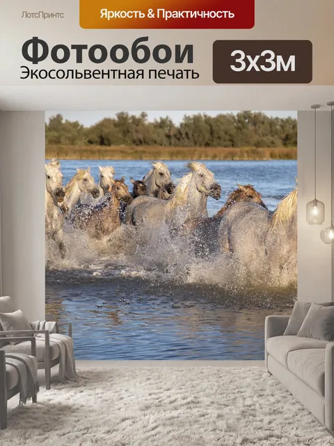 Фотообои Лошади