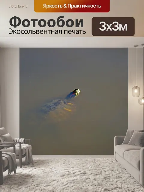 Фотообои Птица