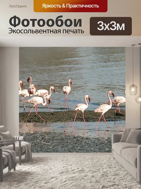 Фотообои Фламинго