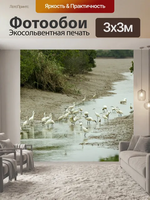 Фотообои Белый аист