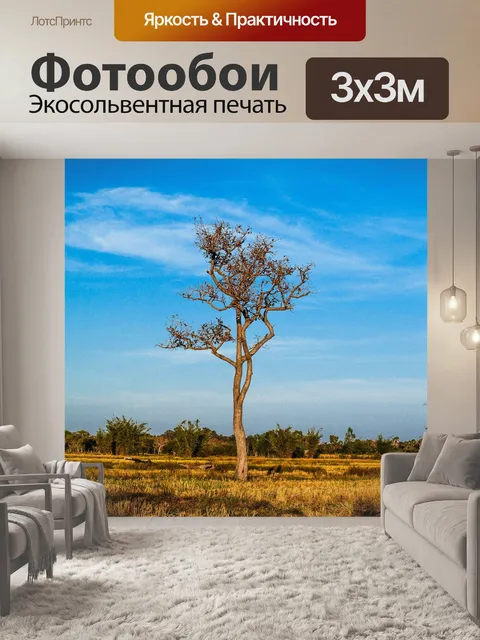 Фотообои Мертвое дерево, силуэт дерева