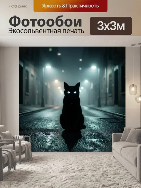 Фотообои Тёмный кот на мокрой улице