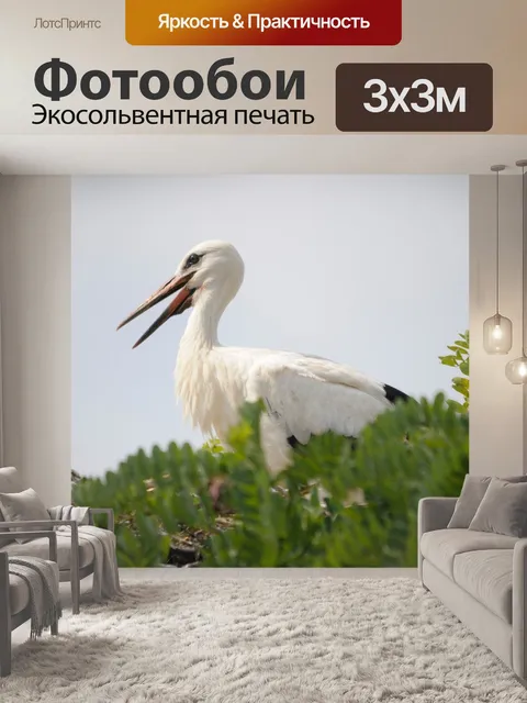 Фотообои Птица