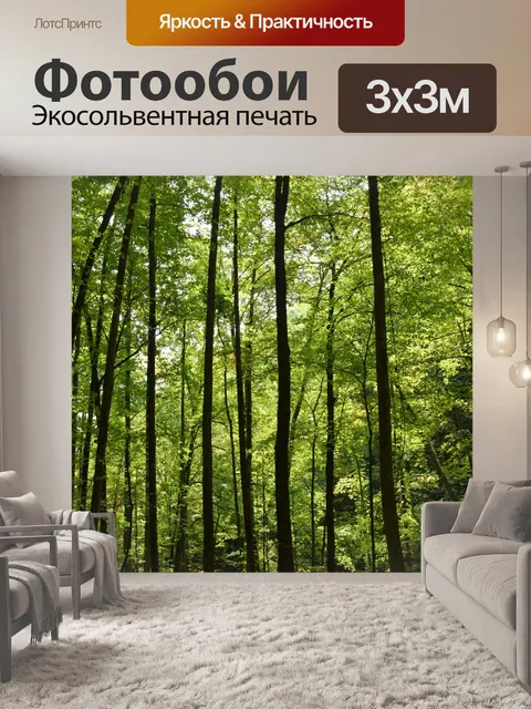 Фотообои Лесной фон
