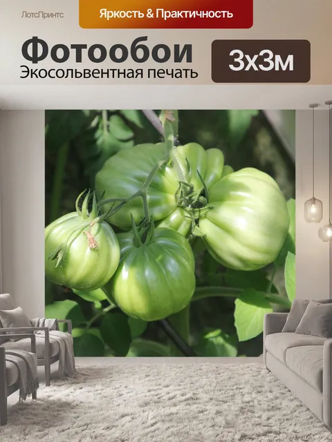 Фотообои Сад