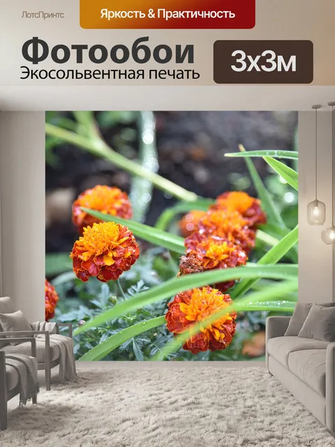 Фотообои Цветы