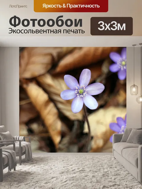 Фотообои Печеночник