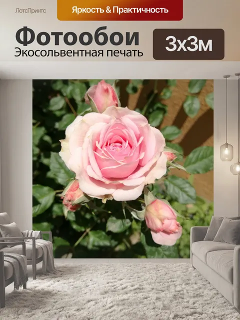Фотообои Цветы
