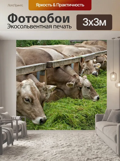 Фотообои Еда
