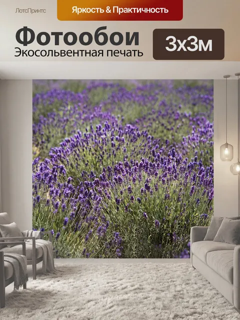 Фотообои Лаванда