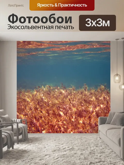 Фотообои Флора