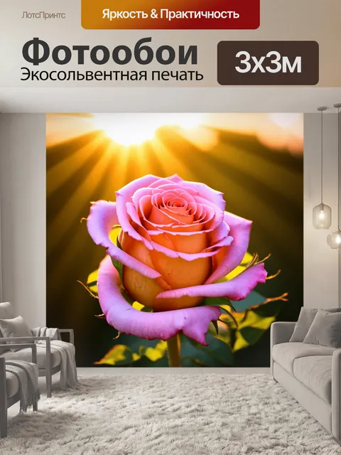 Фотообои розы в стиле абстракции, восход солнца, розы в нежных цветах с лучами света, создающие романтику