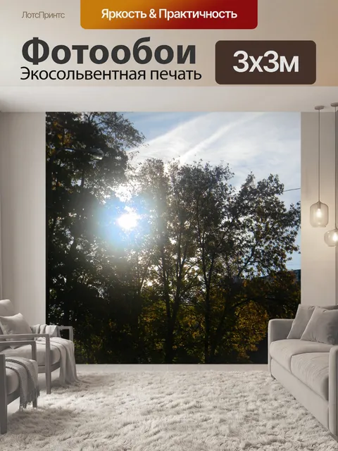 Фотообои солнечный свет сквозь листья