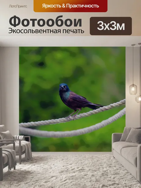 Фотообои Птица