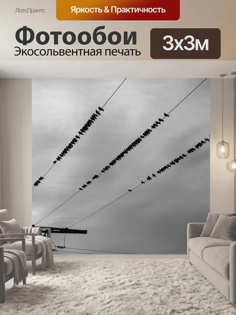 Фотообои Линии электропередач