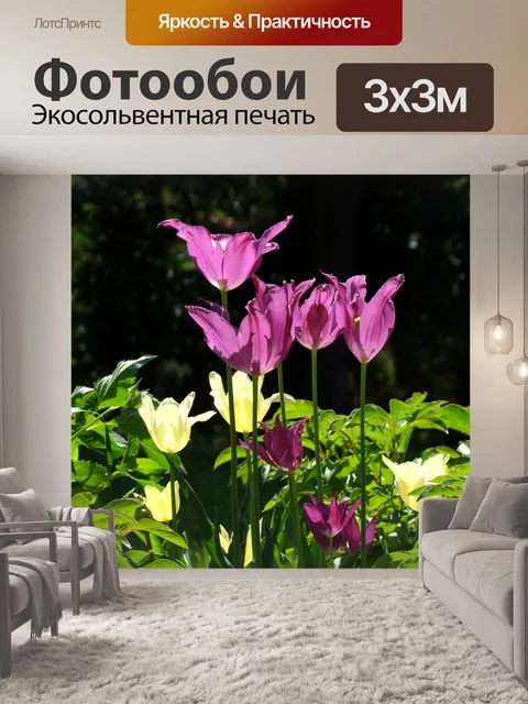 Фотообои Тюльпаны