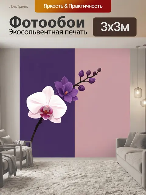 Фотообои Орхидея на двухцветном фоне