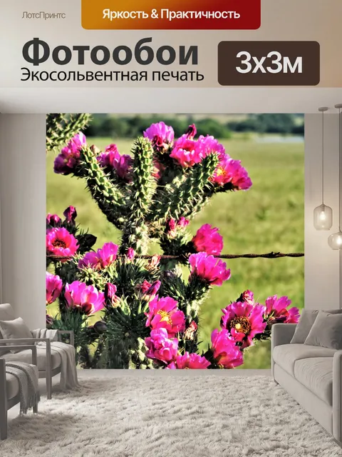 Фотообои Розовое дерево чолла кактус