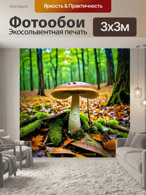Фотообои осень в лесной поляне, грибы под деревьями, свежий дождь