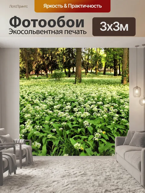 Фотообои Белые цветы
