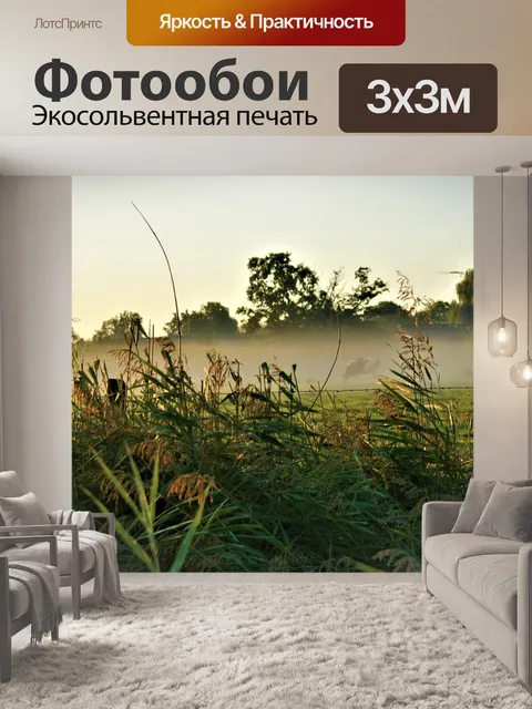 Фотообои Туман