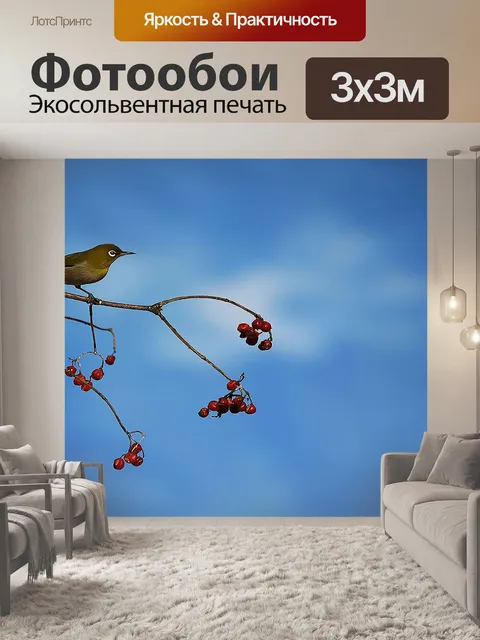 Фотообои Птица