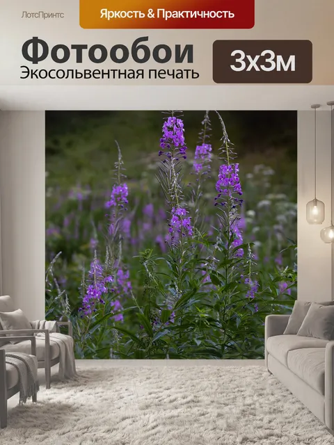 Фотообои Цветы