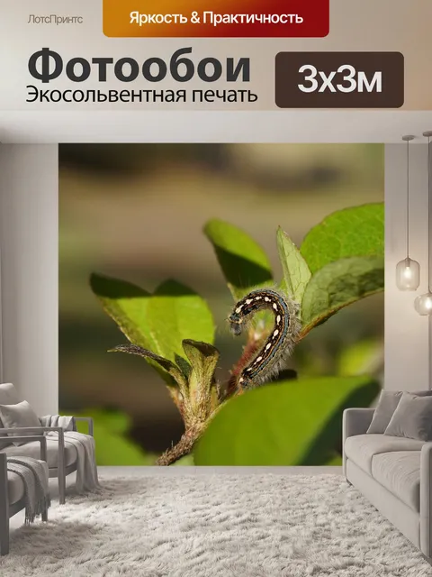 Фотообои Лист
