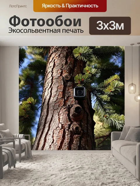 Фотообои в глухом лесу, на высокой сосне, установлена шпионская камера, замаскированная под древесный узор