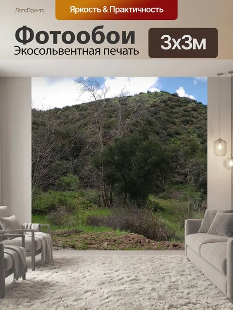 Фотообои В деревне Баннер