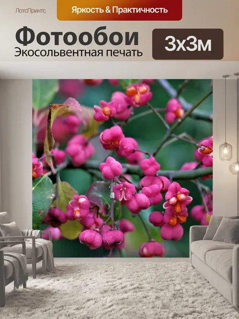 Фотообои Цвести