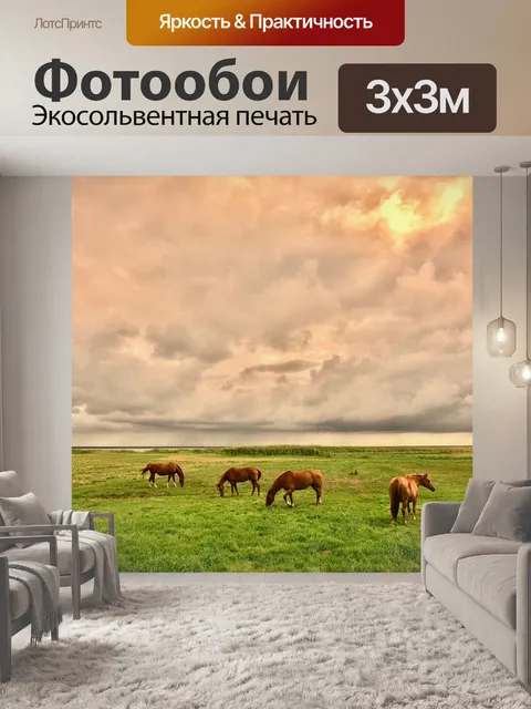 Фотообои Лошади