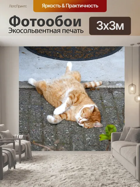 Фотообои Кошка