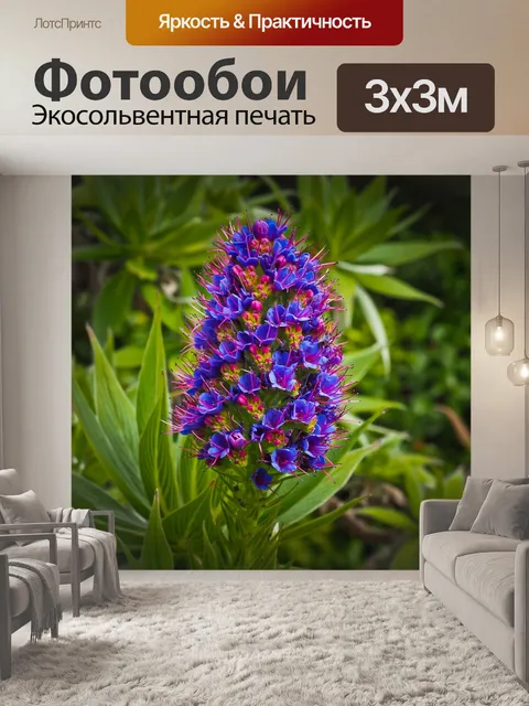 Фотообои Цветок