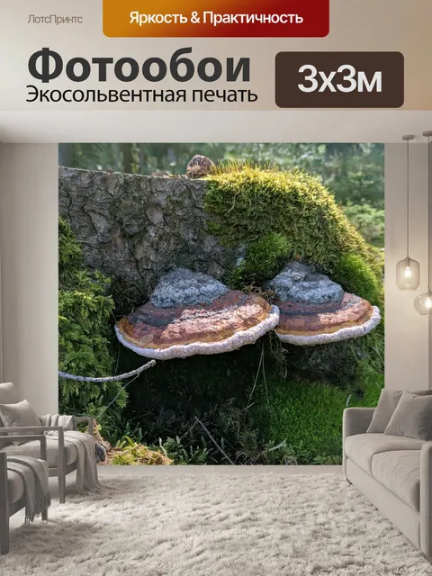 Фотообои Лес