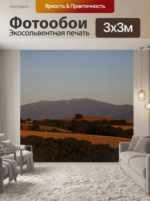 Фотообои Ида