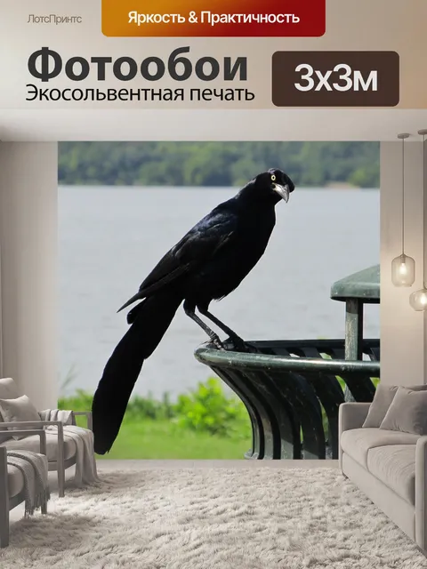 Фотообои Blackbird на озере