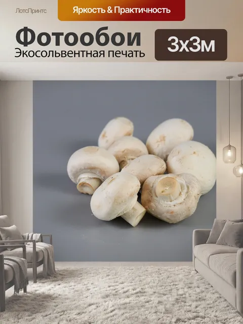 Фотообои Грибы Парижа
