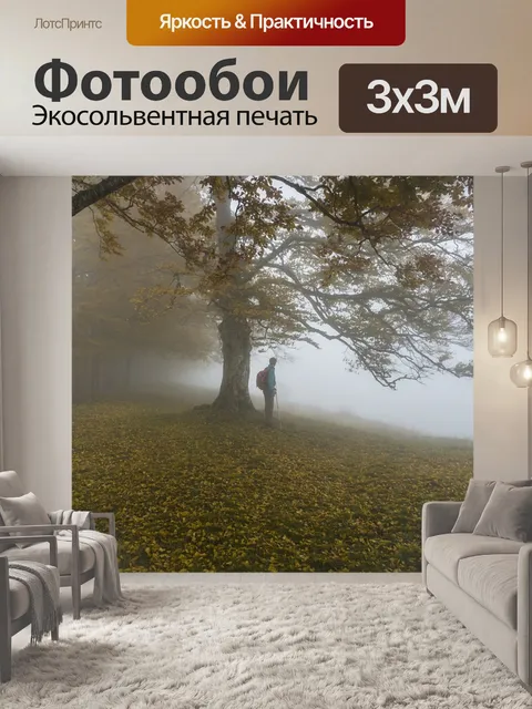 Фотообои Падение