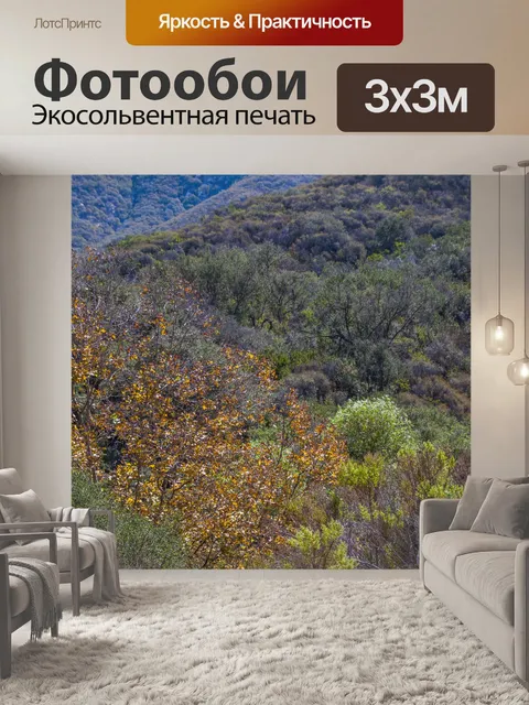 Фотообои Осенью