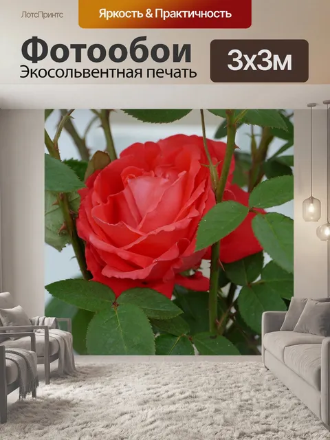 Фотообои Цветок