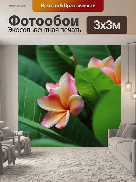 Фотообои Цветы