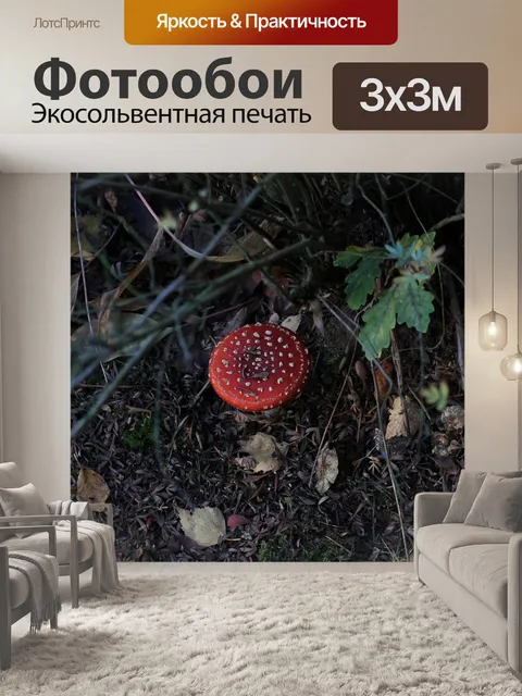 Фотообои Гриб