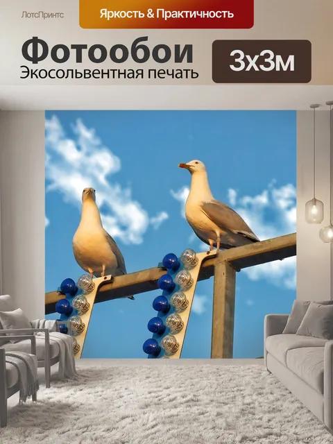 Фотообои Чайки