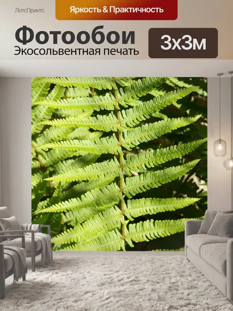 Фотообои Папоротник шаблон лист