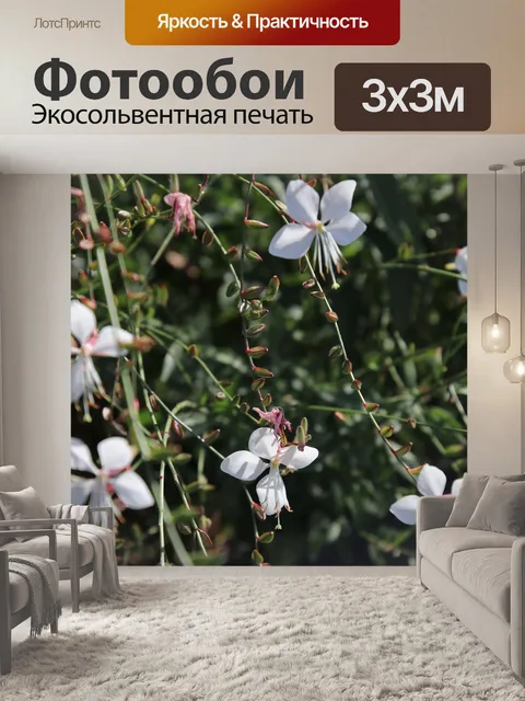 Фотообои Нежный