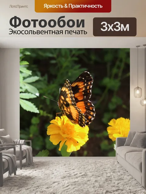 Фотообои Бабочки