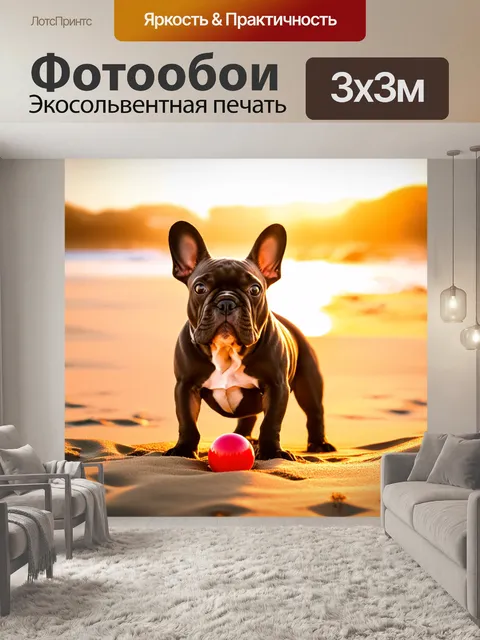 Фотообои герда, французский бульдог, играет с красным мячом на солнечном пляже, где песок светится золотом